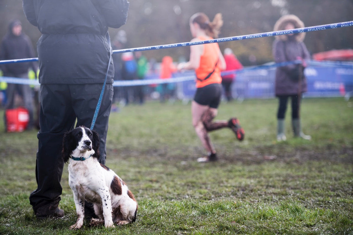 A dog hides behind his owner during an English cross country running race in Liverpool