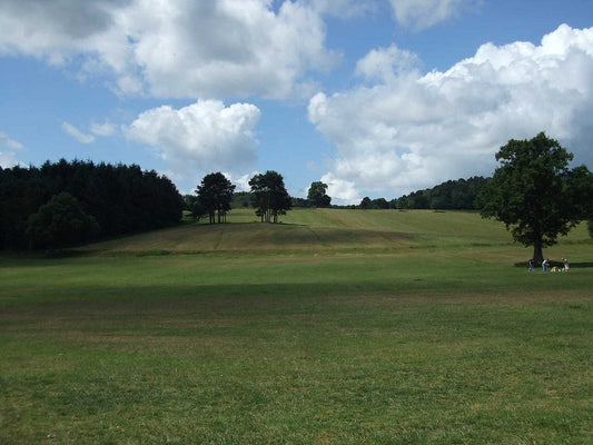 Cofton Park