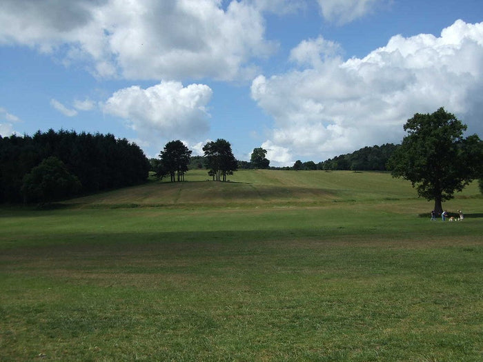 Cofton Park